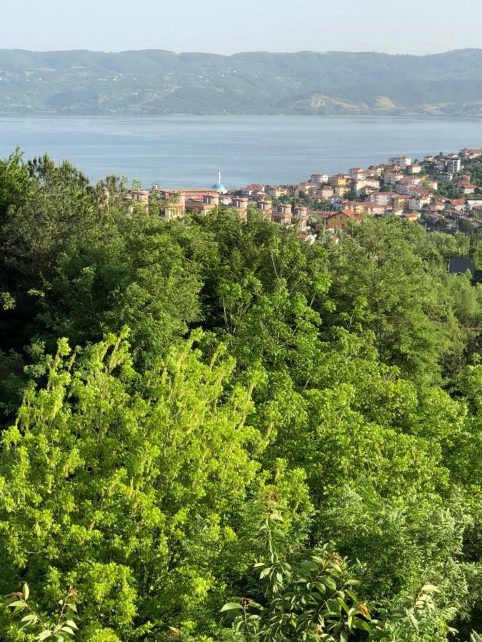 Happy Hobbit Şömineli Göl manzaralı,Sapanca Otel Dış mekan fotoğraf